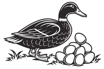 illustration of a duck