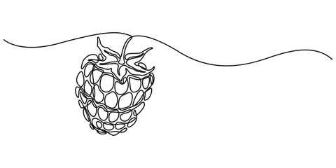 Raspberry one line drawing. Continuous outline of Raspberry fruit. Vector illustration healthy food concept, Single continuous line drawing whole healthy organic raspberry for orchard logo identity. 