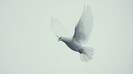 Fototapeta premium White dove flying in the sky, peace, freedom, hope, beautiful