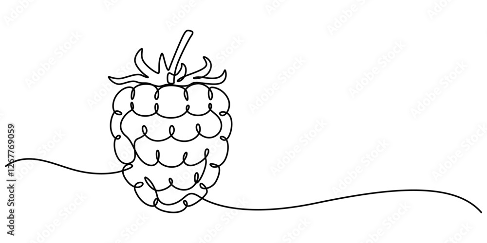 Poster raspberry one line drawing. continuous outline of raspberry fruit. vector illustration healthy food 