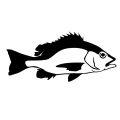 snapper silhouette