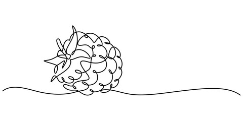 Raspberry one line drawing. Continuous outline of Raspberry fruit. Vector illustration healthy food concept, Single continuous line drawing whole healthy organic raspberry for orchard logo identity. 