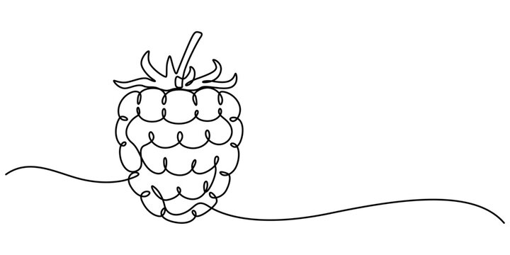 Raspberry one line drawing. Continuous outline of Raspberry fruit. Vector illustration healthy food concept, Single continuous line drawing whole healthy organic raspberry for orchard logo identity. 