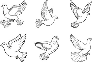 Obraz premium set of dove silhouette line art vector