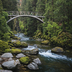 Fototapeta premium Bridge crossing river in lush forest, nature scene shows beauty and tranquility with sense of peace and harmony