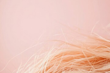Frayed hair tips with split ends against a soft pink background, highlighting the need for hair care and maintenance tips. Generative AI