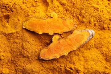 Fresh turmeric root on aromatic powder, top view