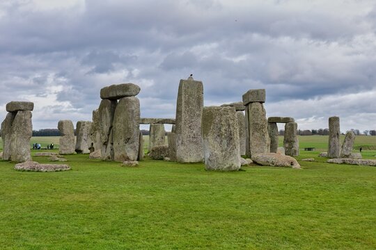 saky and Stonehenge - Salisbury - Wiltshire - united kingdom