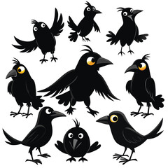 collection of birds