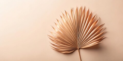 A Single Dried Palm Leaf on a Neutral Background, a Minimalist and Elegant Composition with a Natural Touch