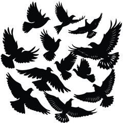set of wings