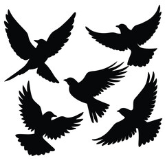 silhouettes of birds