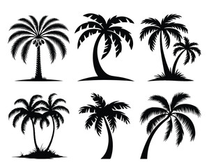 Fototapeta premium palm tree silhouette, palm tree illustration, set of island with palm trees vector Art
