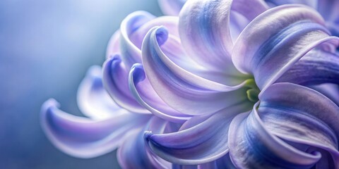 A Close-Up View of Delicate Lavender Flower Petals, Capturing the Softness and Complexity of Nature's Design