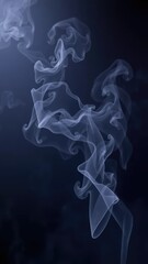 Vague outlines of smoke swirls on a dark canvas, dreamy atmosphere, gentle undulations