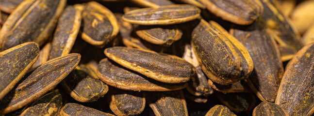 A detailed close-up of roasted sunflower seeds coated with spices. The seeds have a dark, textured shell with a golden layer of spices that highlight their rich flavor and crunchy texture.