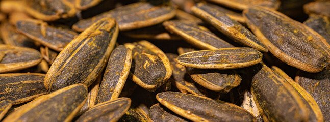 A detailed close-up of roasted sunflower seeds coated with spices. The seeds have a dark, textured shell with a golden layer of spices that highlight their rich flavor and crunchy texture.