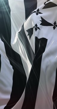 Brittany flag. 4K Vertical. Loop