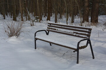 Bench covered with snow in frozen forest. Empty bench in snowy park. Winter weather. Wooden bench in park in snowfall. 