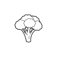 broccoli line art on white background 
