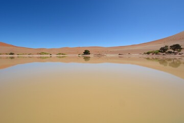 Wasser im Sossusvlei
