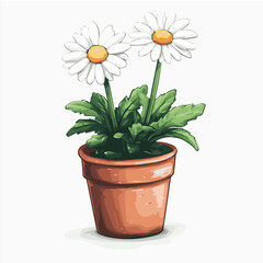 Fototapeta premium Illustration vector of BARBERTON DAISY Pot