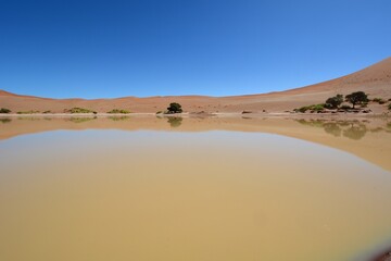 Wasser im Sossusvlei