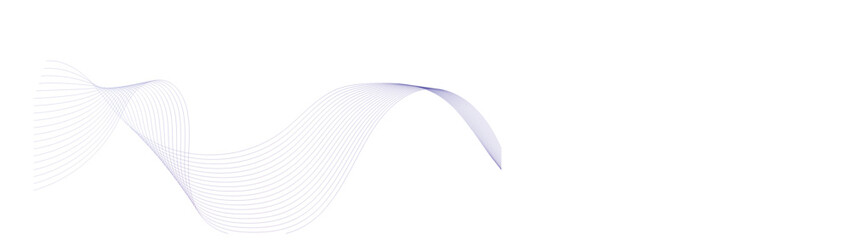 Vector colorful wave and curve lines flowing dynamic gradient color isolated on transparent background. Digital future technology concept. Science, banner, business, poster, template, music background