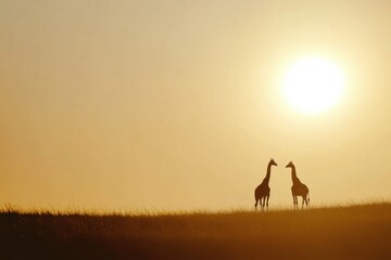 Two giraffes silhouetted against a beautiful sunset on a savannah landscape. Generative AI