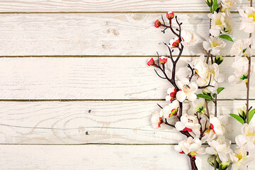 Still life with beautiful blooming sakura branches, Spring abstract flower arrangement, banner for screen with space for text. Greeting card for mother's day, women's day, happy birthday,