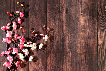 Still life with beautiful blooming sakura branches, Spring abstract flower arrangement, banner for screen with space for text. Greeting card for mother's day, women's day, happy birthday,