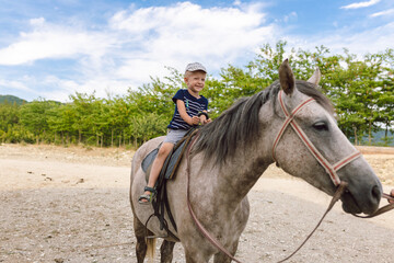 Child enjoys horseback riding on a gray horse in a rural setting surrounded by green trees and...