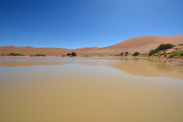 Wasser im Sossusvlei