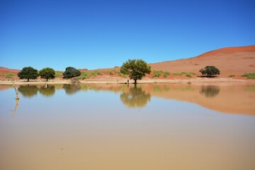 Wasser im Sossusvlei