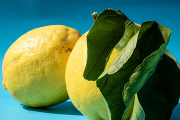 Lemon
