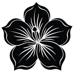 Hibiscus black and white flower vector