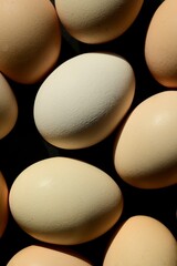 Colorful farm eggs. Abstract-art composition of eggs.