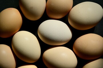 Colorful farm eggs. Abstract-art composition of eggs.