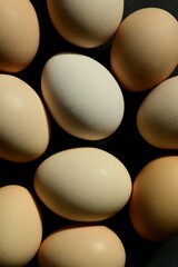 Colorful farm eggs. Abstract-art composition of eggs.