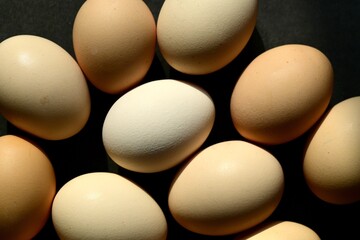 Colorful farm eggs. Abstract-art composition of eggs.