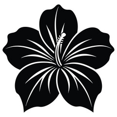 Hibiscus black and white flower vector