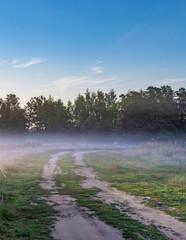 Foggy morning in a forest with a dirt road