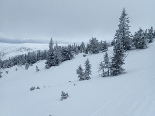 krkonose mountains in winter with snow