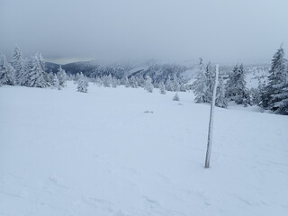 krkonose mountains in winter with snow
