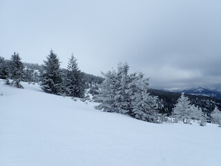krkonose mountains in winter with snow