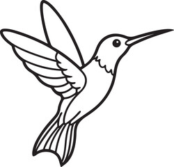 hummingbird line art, black outline, vector and illustration, line art and outline