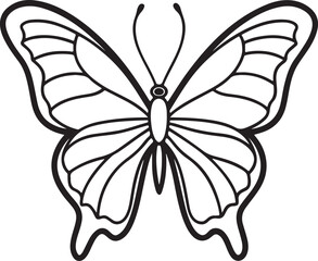 butterfly line art, black outline, vector and illustration, line art and outline