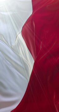 Flag of Monaco. 4K Vertical. Loop