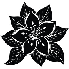 Jasmine flower black and white abstract flower