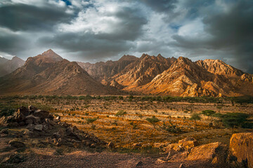 Landscaping of Elba Mountain at Egypt 